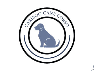 Cariboo Cane Corso