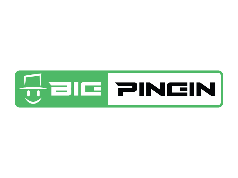 Big Pingin logo design by Bright Ritchil