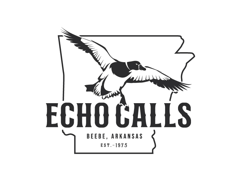 Echo Calls logo design by Ishika Halder