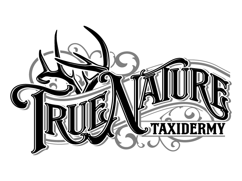 True Nature Taxidermy logo design by daywalker