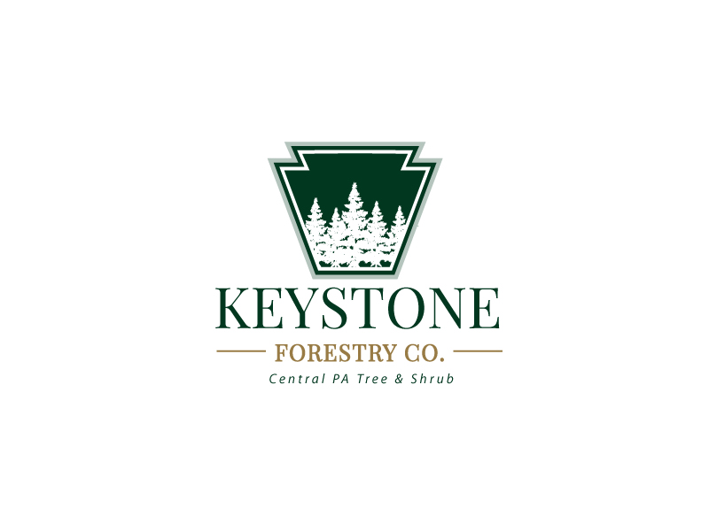 Keystone Forestry Co. logo design by PS03