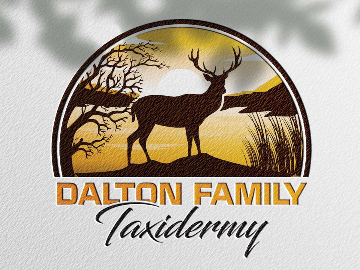 Dalton Family Taxidermy logo design by yondi