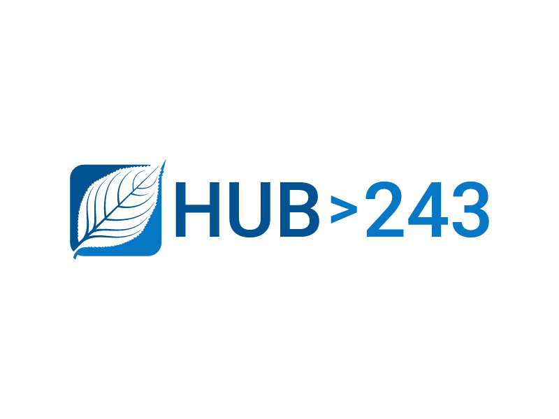 HUB>243 logo design by Fear