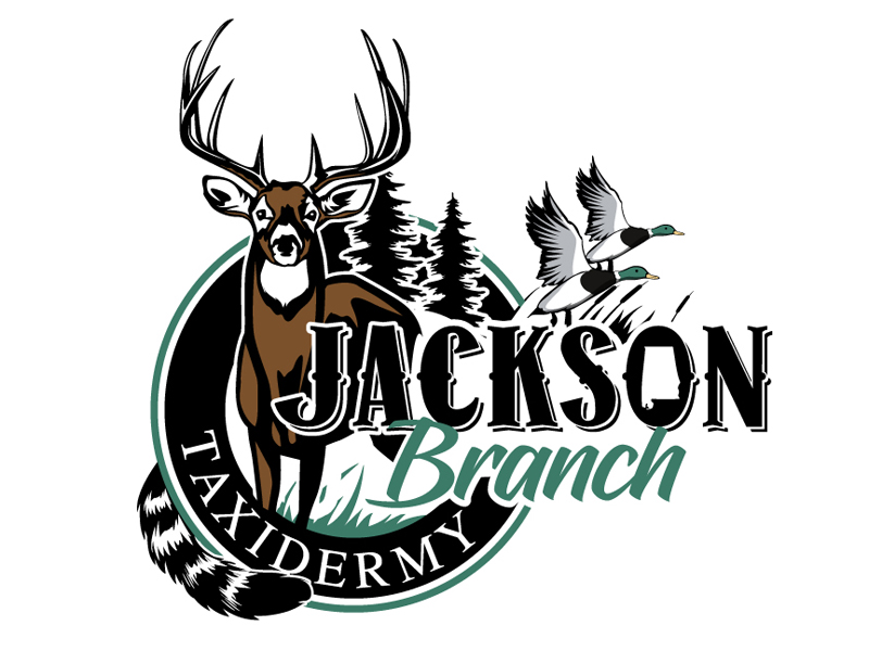 Jackson Branch Taxidermy logo design by DreamLogoDesign