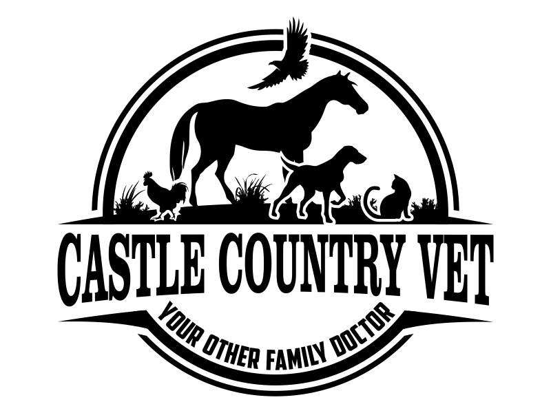 Castle Country Vet logo design by Kruger