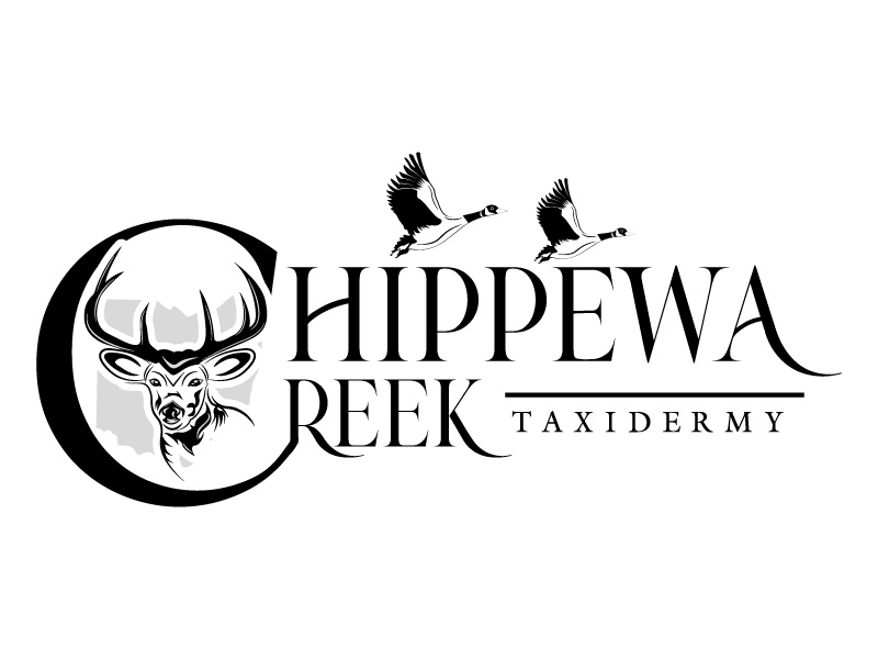 Chippewa Creek Taxidermy logo design by Gilate