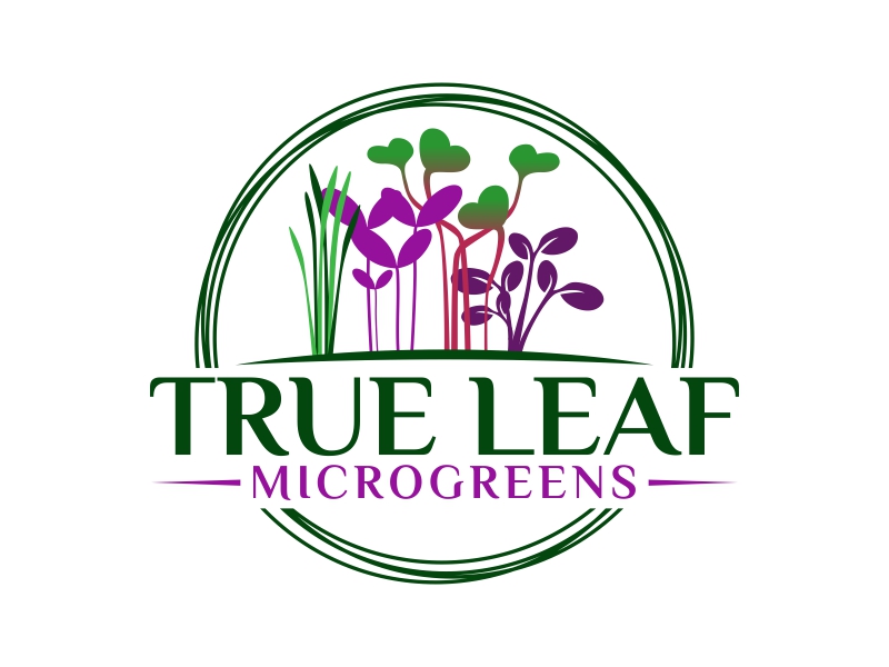True Leaf logo design by qqdesigns