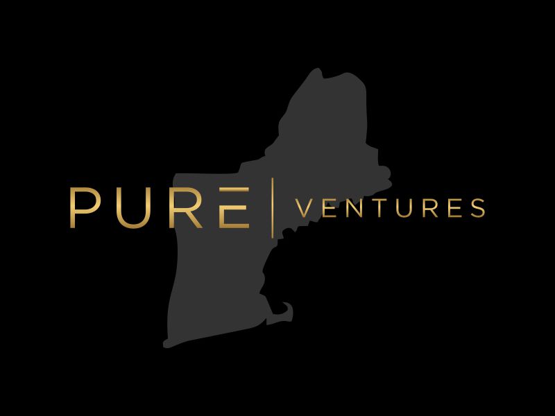 Pure Ventures logo design by asyqh
